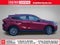 2024 Toyota Venza XLE