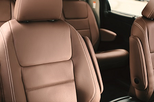 2019 Toyota Sienna
