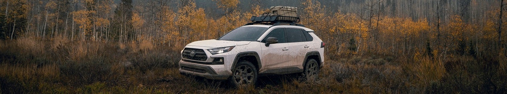 Used Toyota RAV4