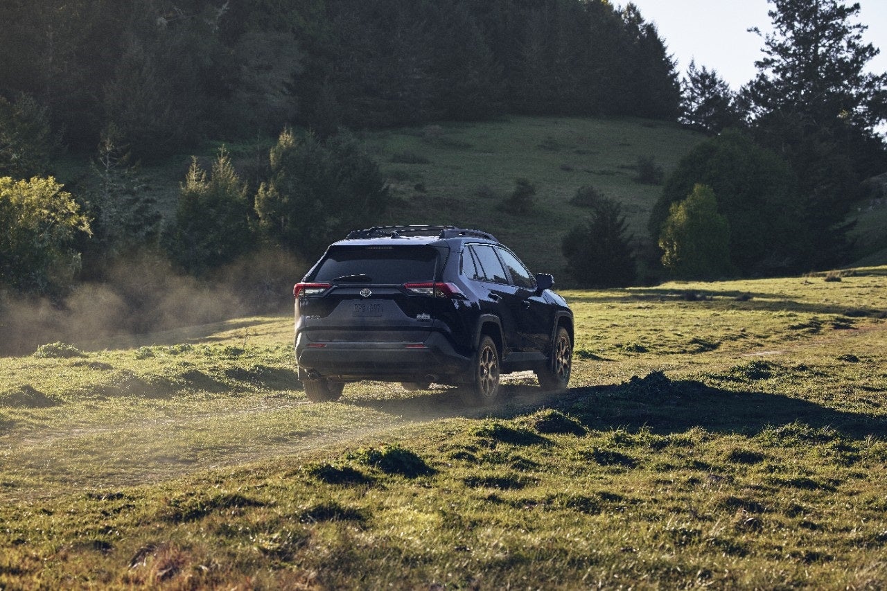 Toyota RAV4 for Sale near Bloomington IN