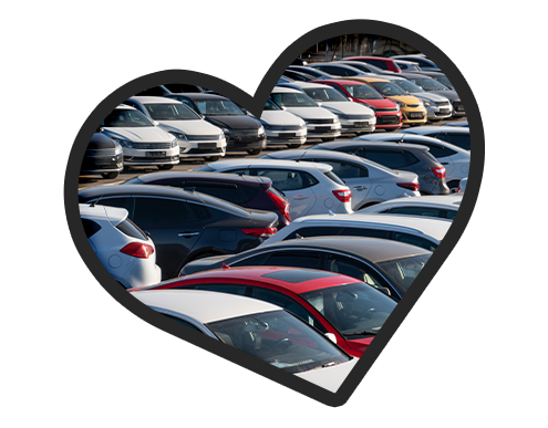 Mohr Selection Heart